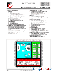 Datasheet C8051F019 manufacturer Silicon Lab.